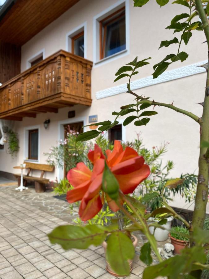 Guesthouse Sabine - Pr' Skminc Bohinjska Bela Buitenkant foto